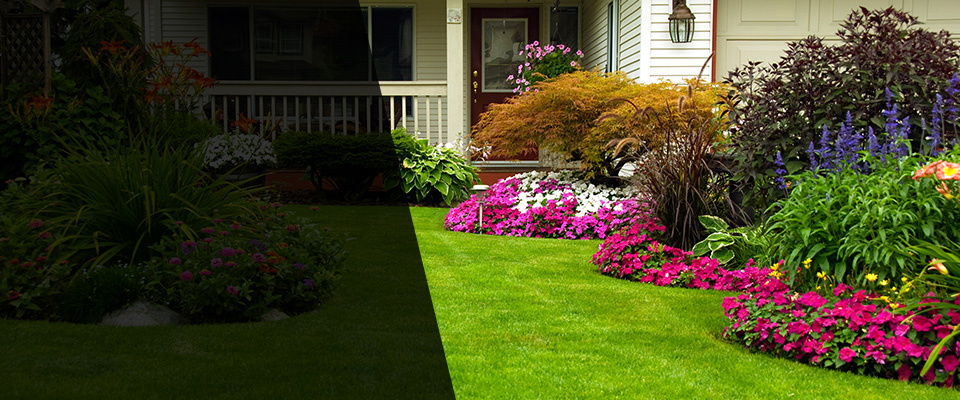 Waterford Landscapers